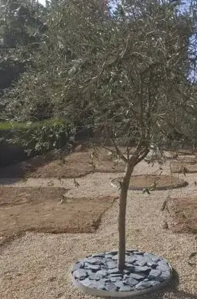 aménagement jardin Vendôme-1